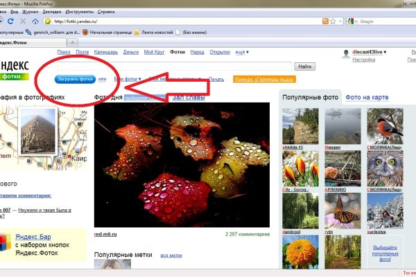 Что продает кракен